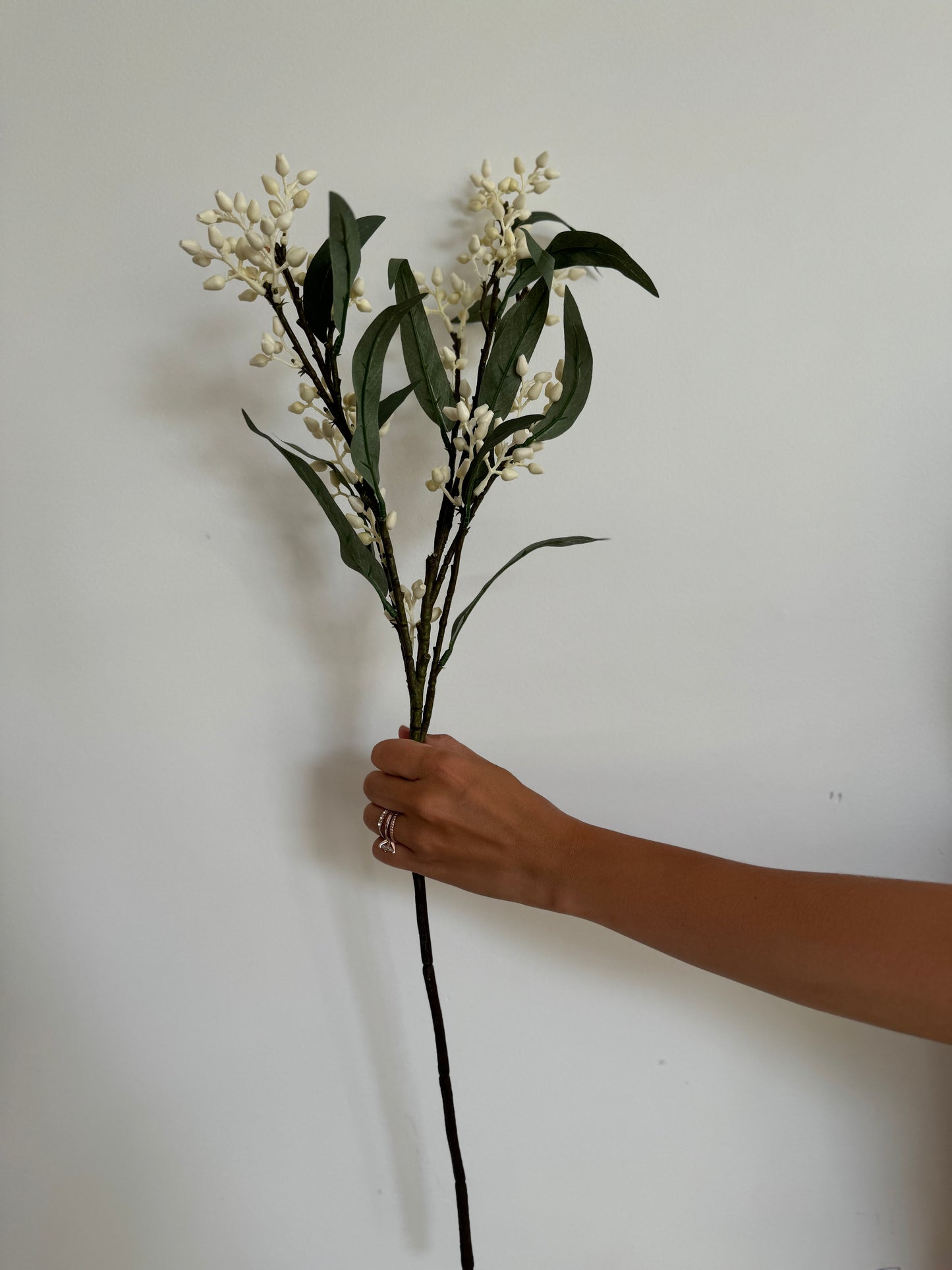 Flowering Eucalyptus Branch S/3