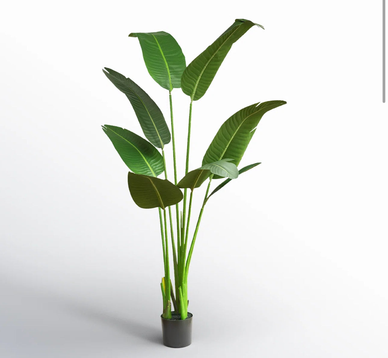 Faux Banana Tree + Pot
