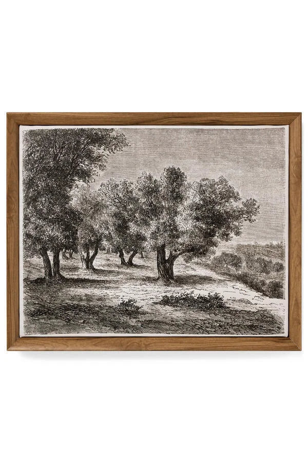 The Olives