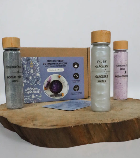 The Wish Potion Kit