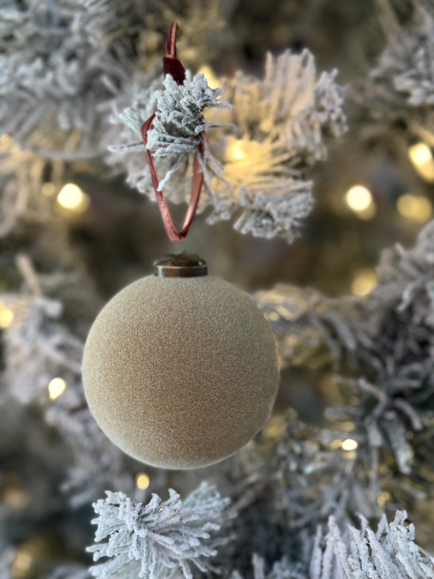 The Velvet Ornament